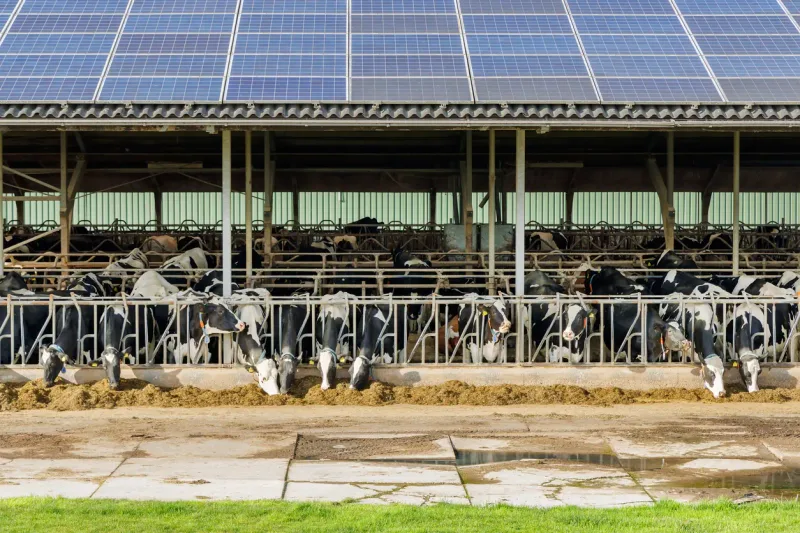 Hangar agricole équipé de panneaux photovoltaïques — en Bretagne